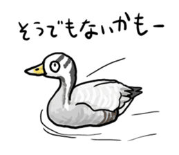 Duck on parade sticker #2672362