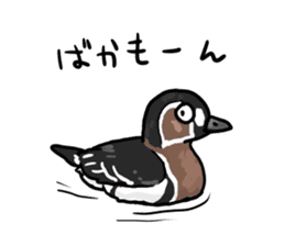 Duck on parade sticker #2672363