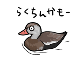 Duck on parade sticker #2672364