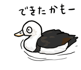 Duck on parade sticker #2672366