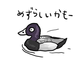 Duck on parade sticker #2672367