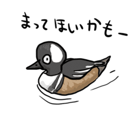 Duck on parade sticker #2672368
