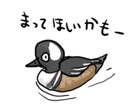 Duck on parade sticker #2672368