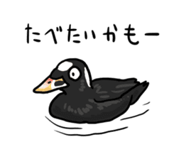 Duck on parade sticker #2672369