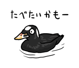Duck on parade sticker #2672369