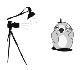 KWINNOI sticker #2673474