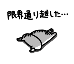 White pig chan sticker #2674397