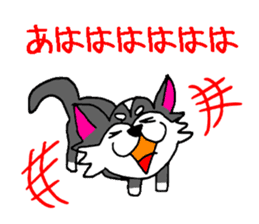 Pooh sticker(Pooh-chan of Chihuahua) sticker #2681181