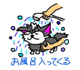 Pooh sticker(Pooh-chan of Chihuahua) sticker #2681188