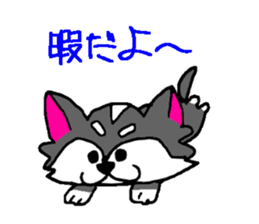 Pooh sticker(Pooh-chan of Chihuahua) sticker #2681192