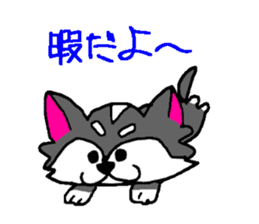 Pooh sticker(Pooh-chan of Chihuahua) sticker #2681192