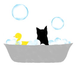 Cat and ... sticker #2682169