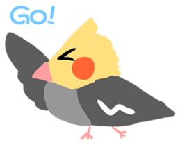 Cockatiel Cotton Candy and Jin's Daily-1 sticker #2682339