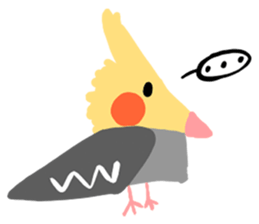 Cockatiel Cotton Candy and Jin's Daily-1 sticker #2682360