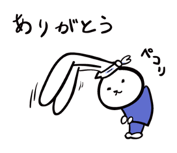 Rabbit who is studying for an exam. sticker #2684358