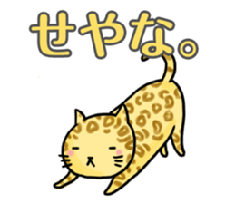 KANSAI cats sticker #2684914