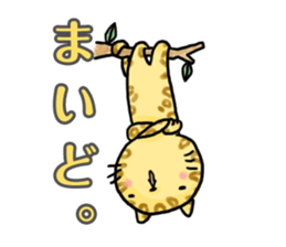 KANSAI cats sticker #2684934