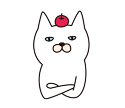 funny cats Sticker sticker #2685371