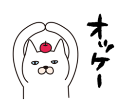 funny cats Sticker sticker #2685372