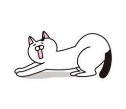 funny cats Sticker sticker #2685388