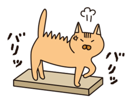 funny cats Sticker sticker #2685391