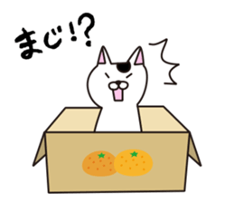 funny cats Sticker sticker #2685401