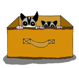 I love Sugar Glider  2 sticker #2685580