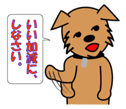 pochi's sticker. ver.the manzai. sticker #2688968