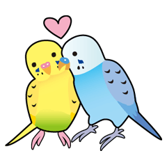 Happy Birds Life