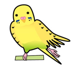 Happy Birds Life sticker #2689097