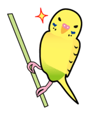 Happy Birds Life sticker #2689101