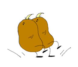 Kiwi Sticker. sticker #2689486