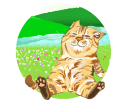 Meow Meow Cats2 sticker #2689491