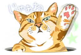 Meow Meow Cats2 sticker #2689495