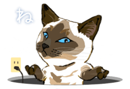 Meow Meow Cats2 sticker #2689501