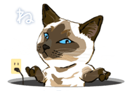 Meow Meow Cats2 sticker #2689501