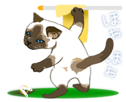 Meow Meow Cats2 sticker #2689502