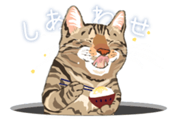 Meow Meow Cats2 sticker #2689507