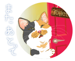 Meow Meow Cats2 sticker #2689512