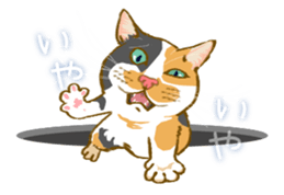 Meow Meow Cats2 sticker #2689514