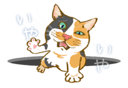 Meow Meow Cats2 sticker #2689514