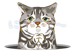 Meow Meow Cats2 sticker #2689516