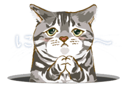 Meow Meow Cats2 sticker #2689516