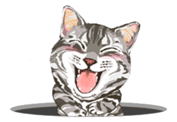 Meow Meow Cats2 sticker #2689518