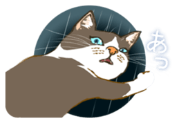 Meow Meow Cats2 sticker #2689519