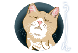 Meow Meow Cats2 sticker #2689522