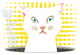 Meow Meow Cats2 sticker #2689523