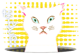 Meow Meow Cats2 sticker #2689523