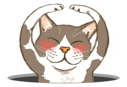 Meow Meow Cats2 sticker #2689526