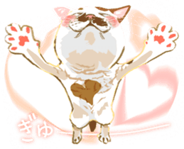 Meow Meow Cats2 sticker #2689528